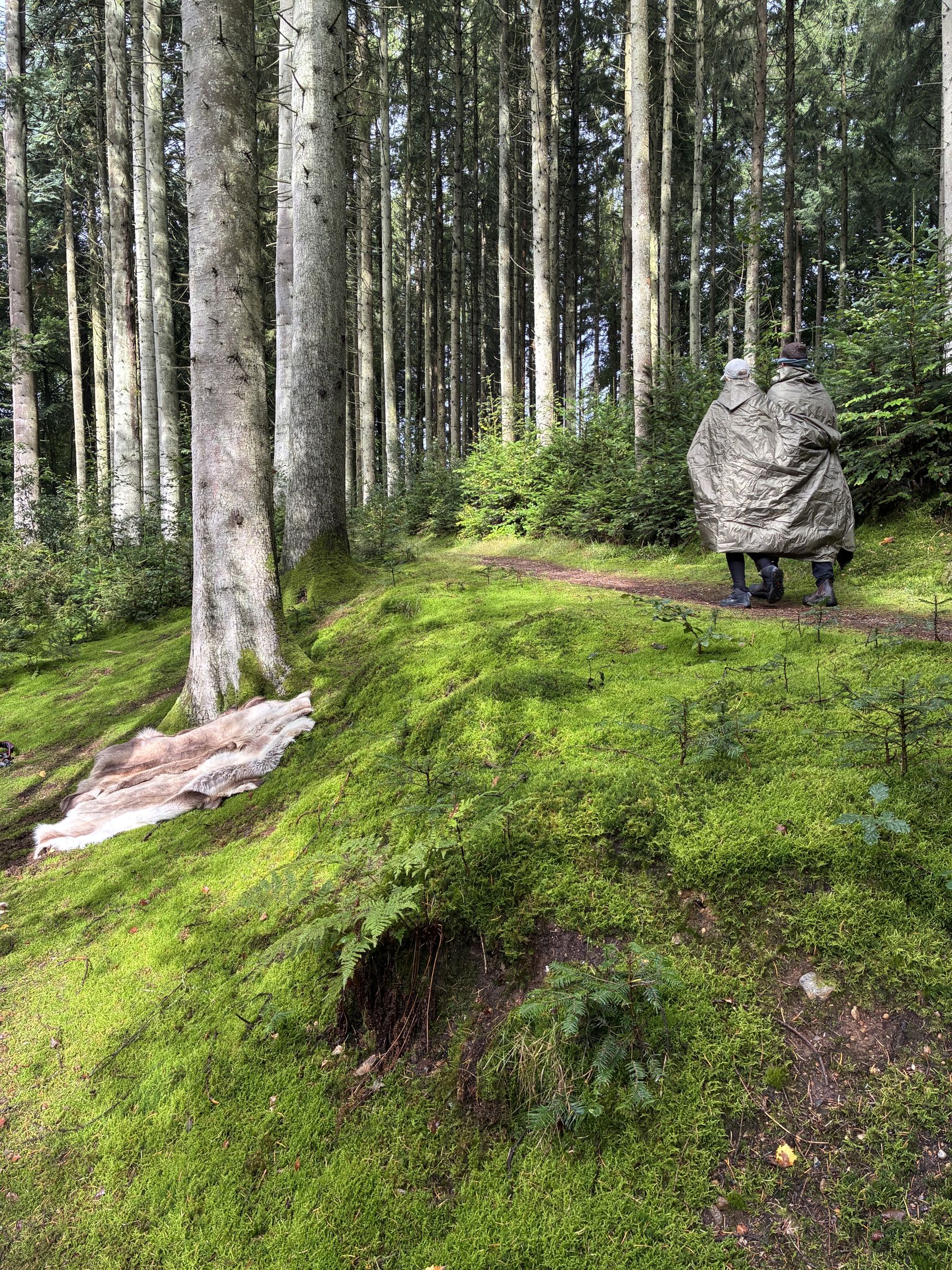 Samtaler i skoven