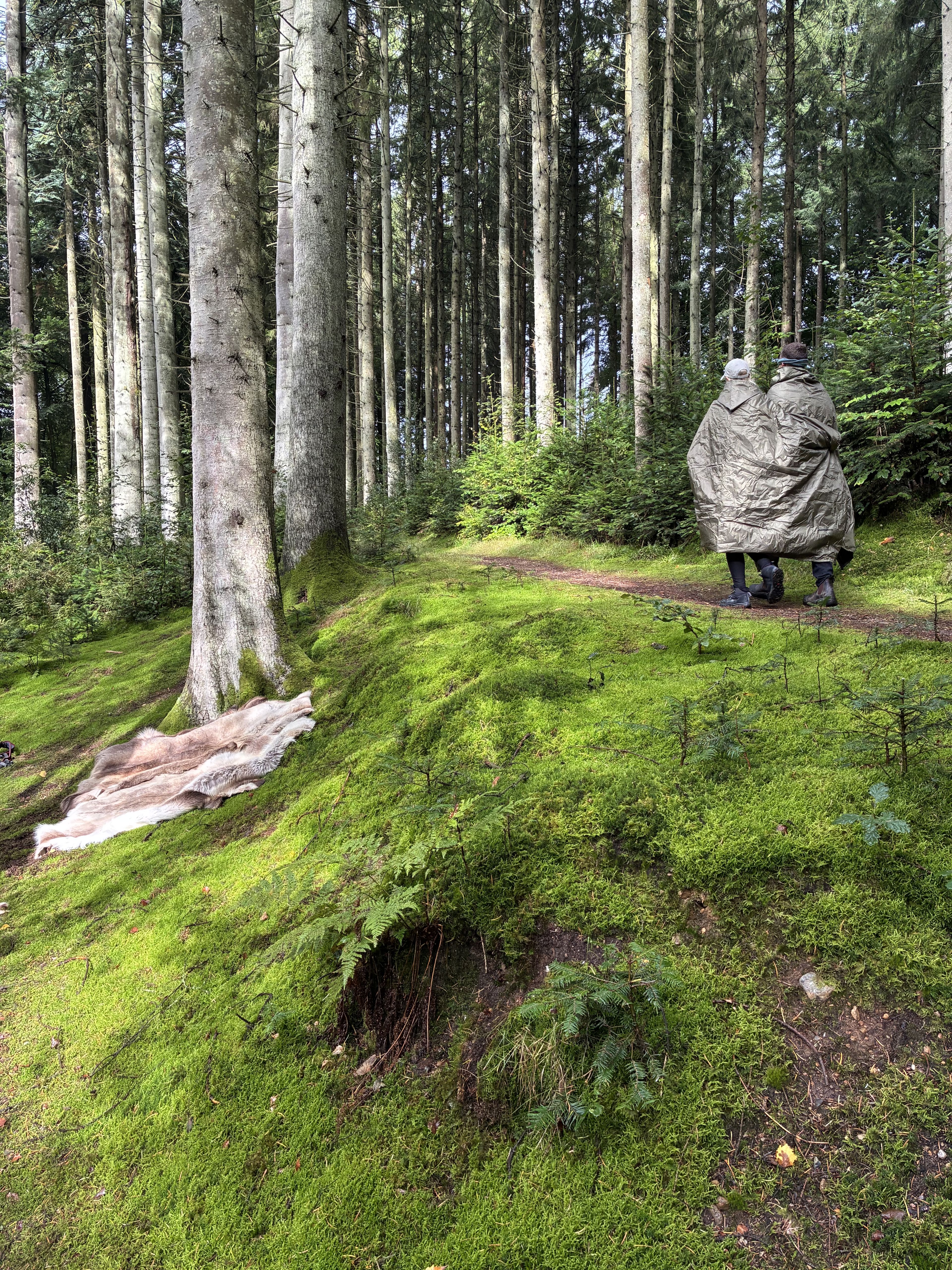 Samtaler i skoven
